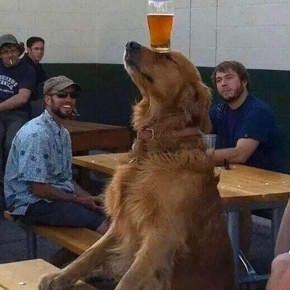 Meet your Posher, Yasmin - Picture 1 of 1